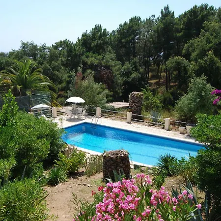Apartment Modern In With Swimming Pool *