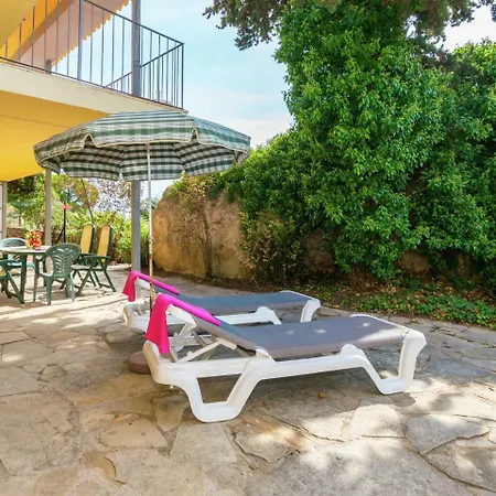 Modern In With Swimming Pool