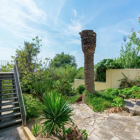 Modern In With Swimming Pool